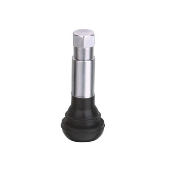 TR414C Snap-In Tubelss Tire Valves